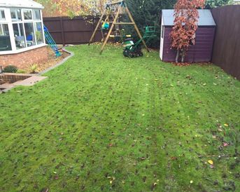 A image of a lawn that has air dots/indents on the lawn to let the lawn get some air into it, to breathe new life