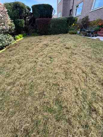 A image of a lawn that has air dots/indents on the lawn to let the lawn get some air into it, to breathe new life