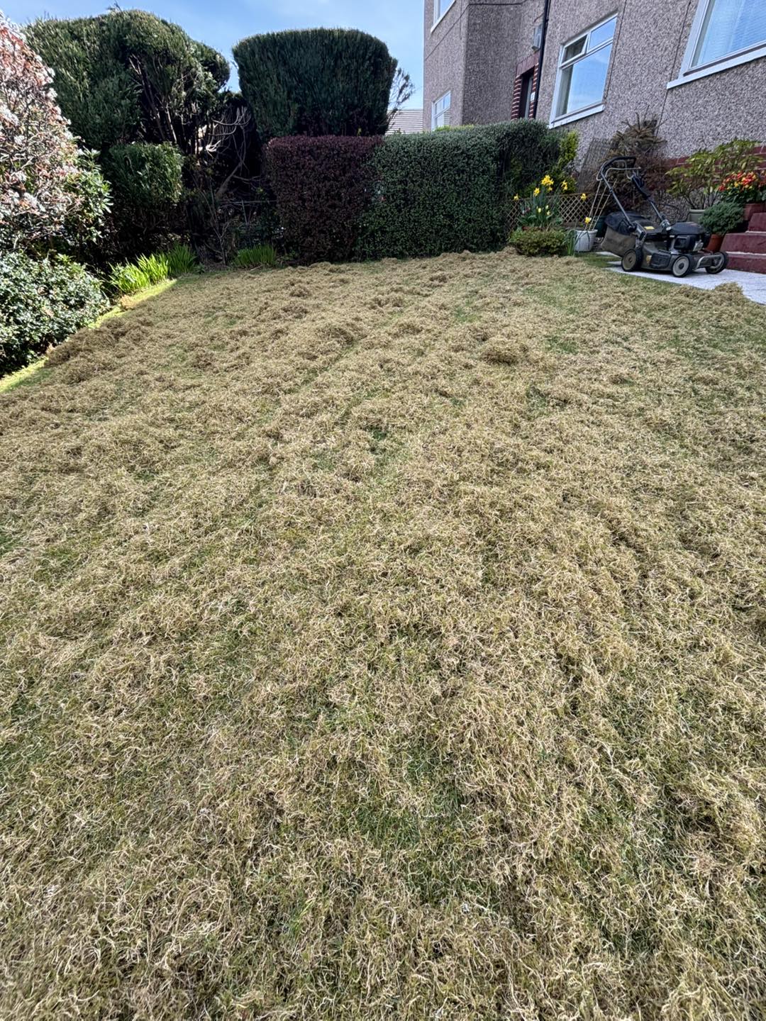 A image of a lawn that has air dots/indents on the lawn to let the lawn get some air into it, to breathe new life