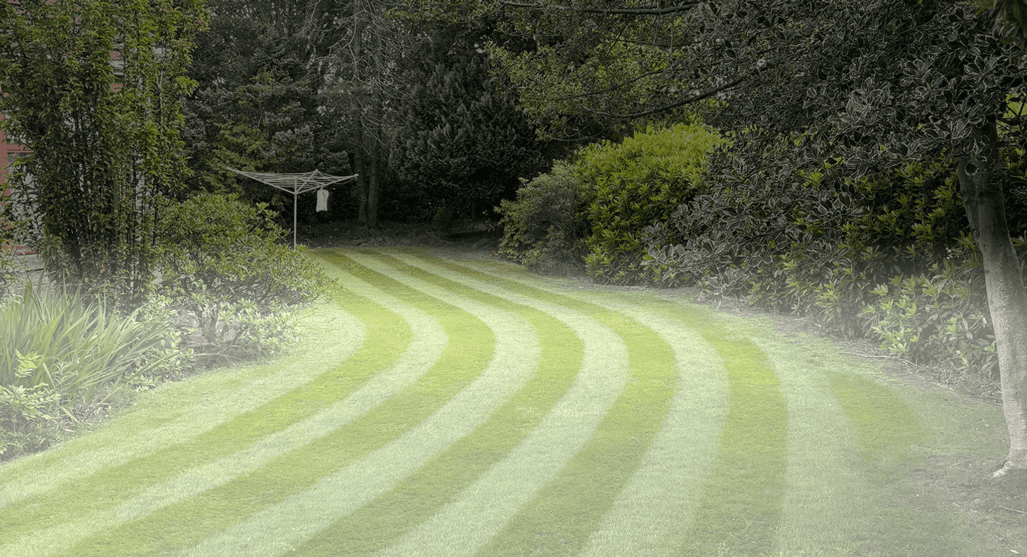 A big long image of a beautiful garden that is so long it goes round a corner, been cut really well with stripes