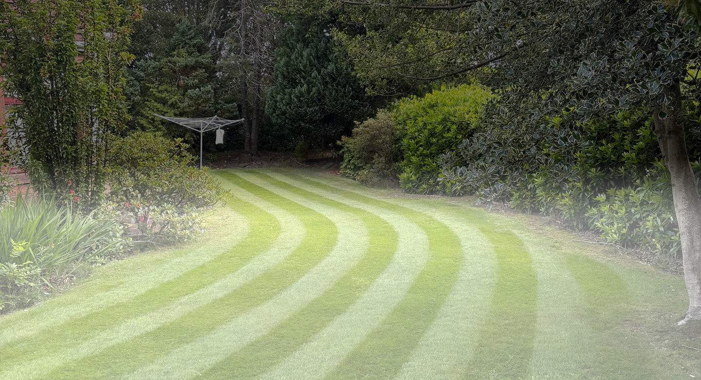 A big long image of a beautiful garden that is so long it goes round a corner, been cut really well with stripes