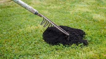 A image of a lawn that has air dots/indents on the lawn to let the lawn get some air into it, to breathe new life